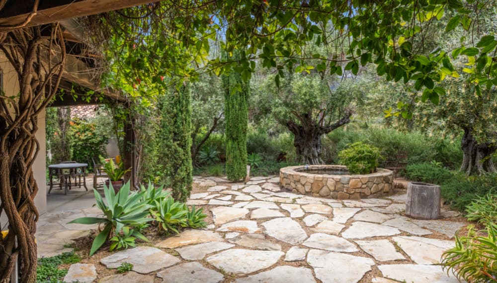 Entre jardinier et paysagiste à Paris : comment faire son choix ?